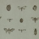 Tapeta 18430